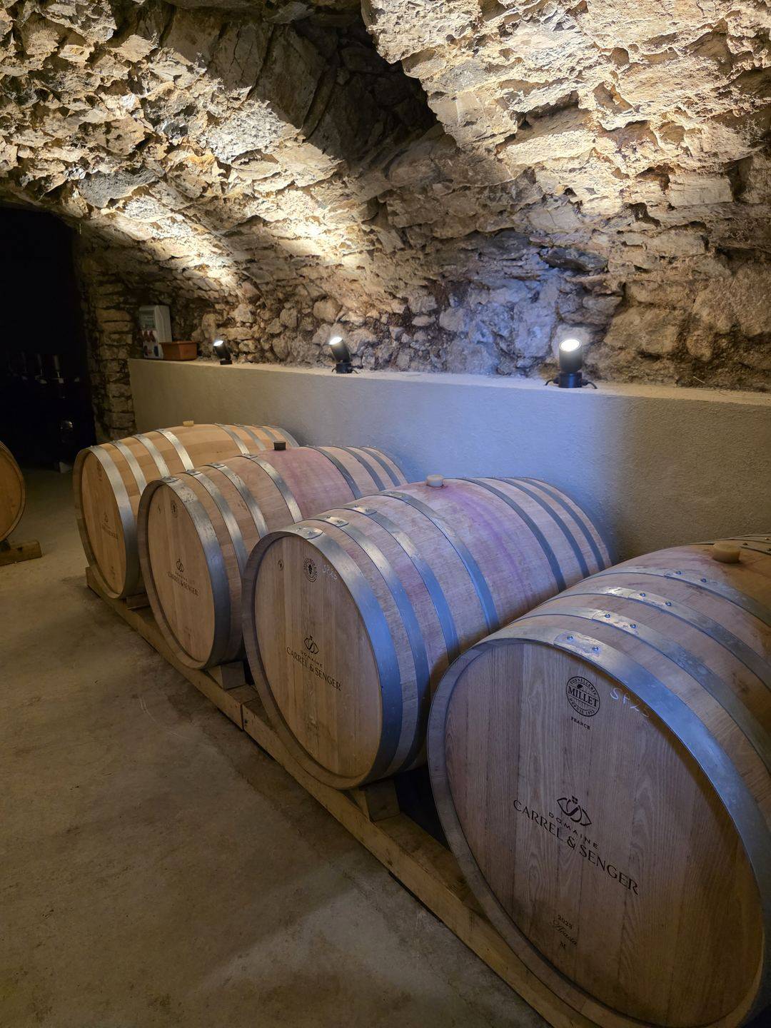 Cave voûtée en pierre et fûts de vin chez un vigneron