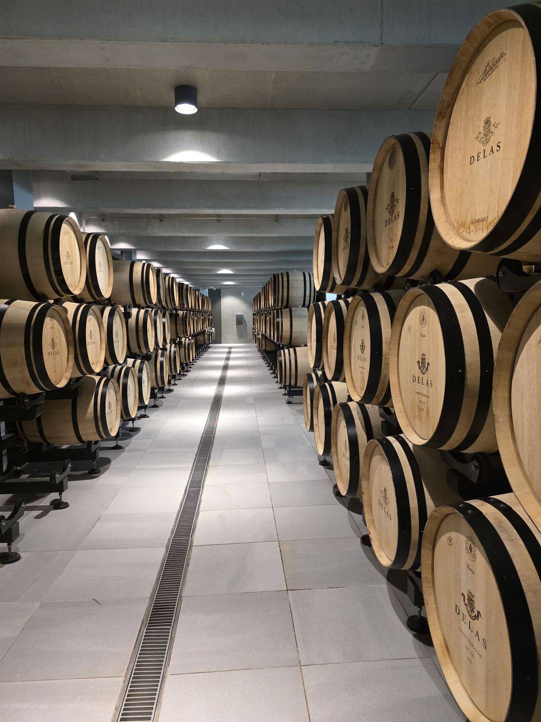 Chai à barriques chez un de nos vignerons